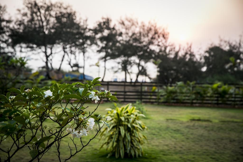 卡兰古特Casa Cubo By The Beach住宿加早餐旅馆 外观 照片