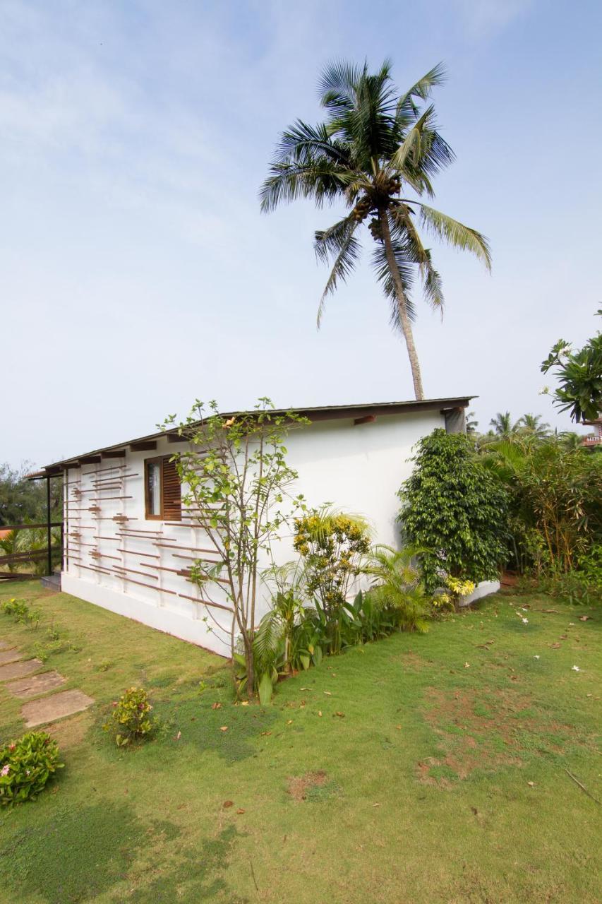 卡兰古特Casa Cubo By The Beach住宿加早餐旅馆 外观 照片