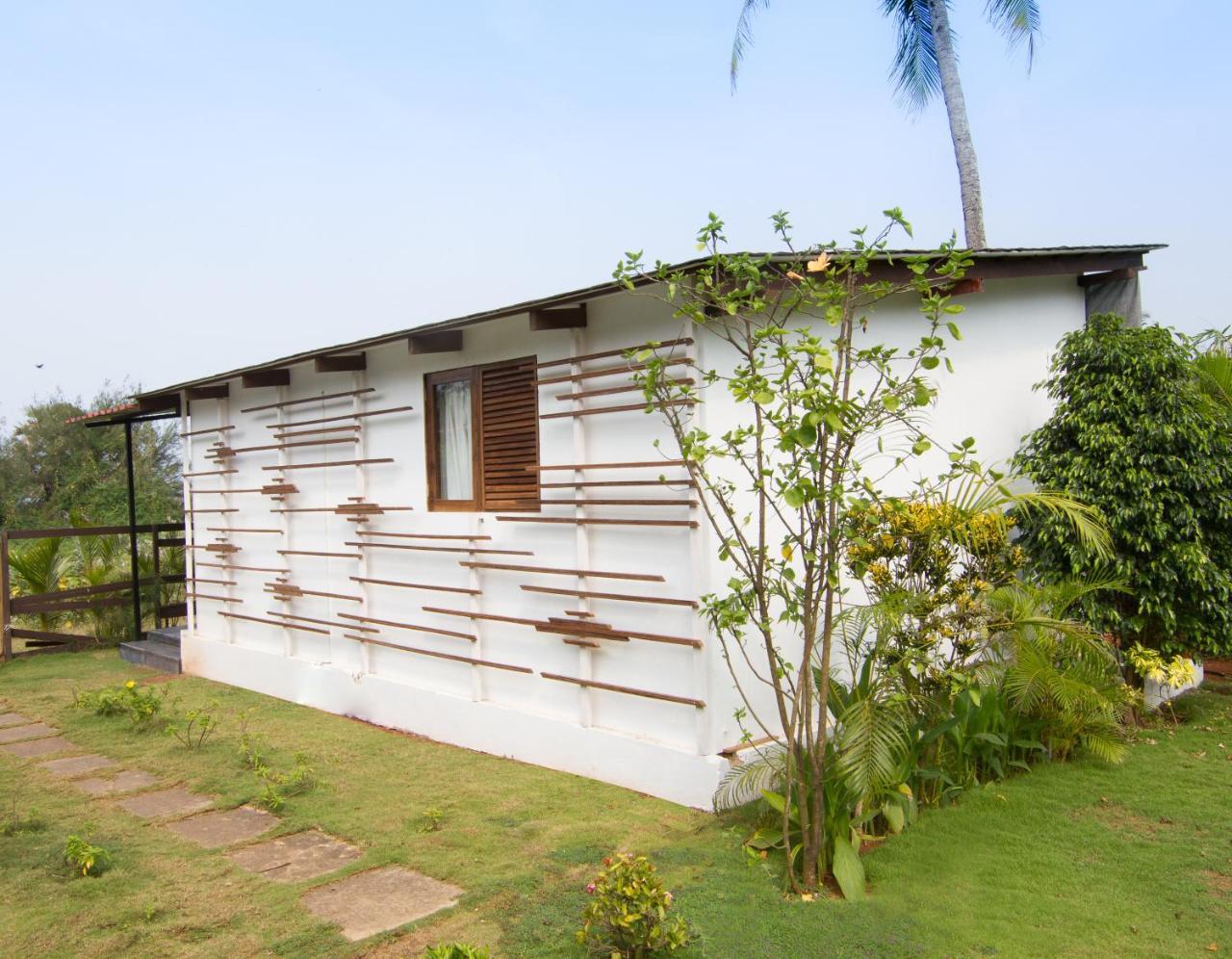 卡兰古特Casa Cubo By The Beach住宿加早餐旅馆 外观 照片